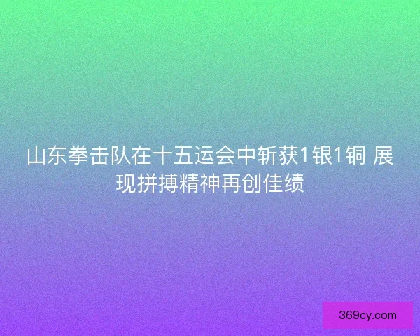 山东拳击队在十五运会中斩获1银1铜 展现拼搏精神再创佳绩